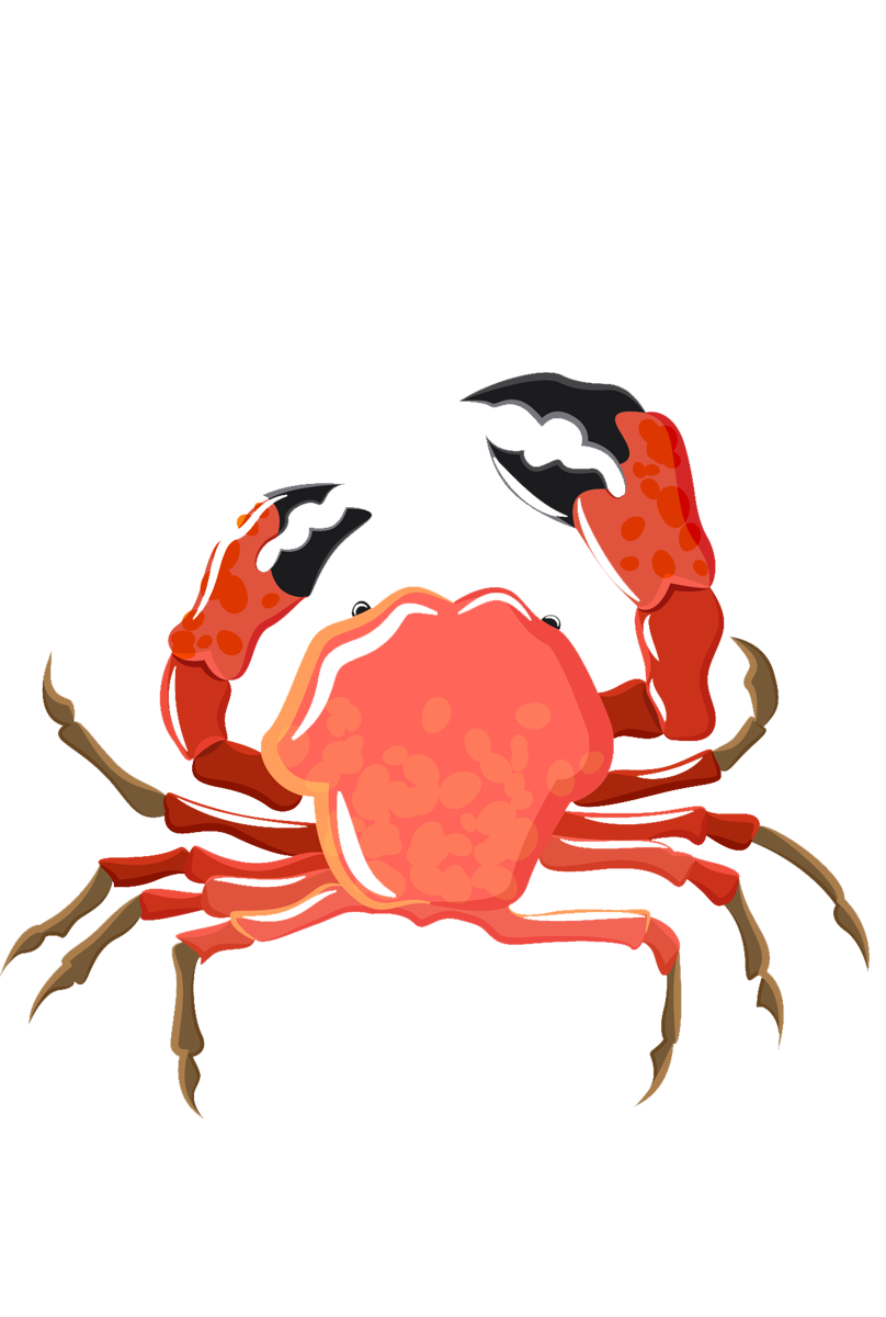 https://funky-en.otelimo.com/wp-content/uploads/2023/04/seafoods-1-2.png