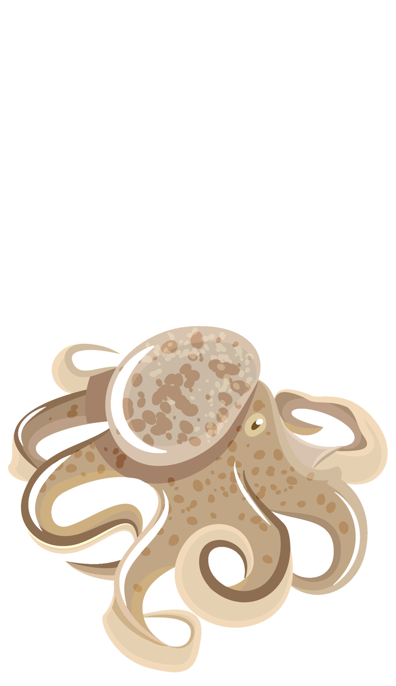 https://funky-en.otelimo.com/wp-content/uploads/2023/04/seafoods-4-6.png