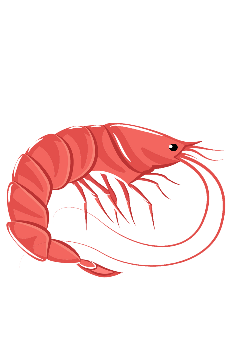 https://funky-en.otelimo.com/wp-content/uploads/2023/04/seafoods-5-2.png