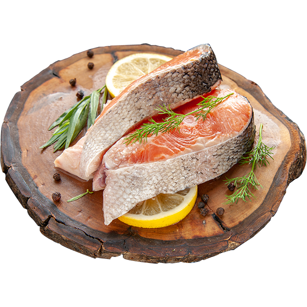 https://funky-en.otelimo.com/wp-content/uploads/2023/05/fish-season.png